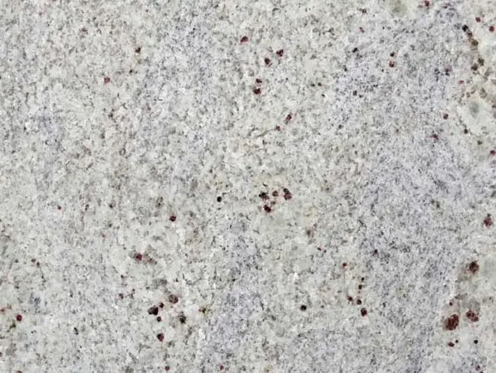 Kashmir White